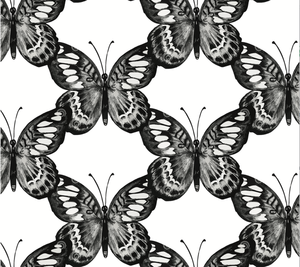 black butterfly trellis wallpaper large scale